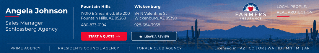 Angela Johnson — Schlossberg Agency